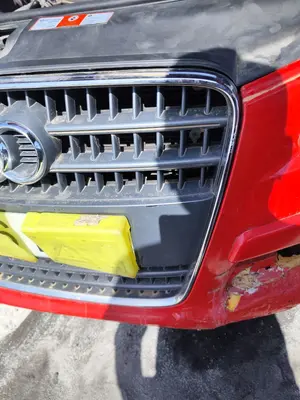 Foto de REJILLA DELANTERA AUDI Q7 (4L) 3.0 V6 24V TDI (233 CV / 171 KW) foto 2