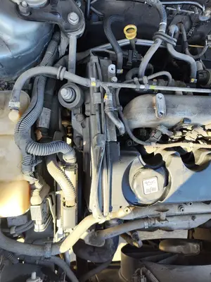 Foto de MOTOR COMPLETO ALFA ROMEO 147 (190) 1.9 JTD CAT (110 CV / 81 KW) referencia 937A2000 foto 2