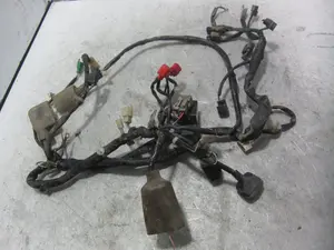 Foto de CABLEADO ELECTRICO HONDA PCX 125 125 cm3 - 8.6 kW (0 CV / 0 KW) referencia 26214 - 32100K35T010 foto 3