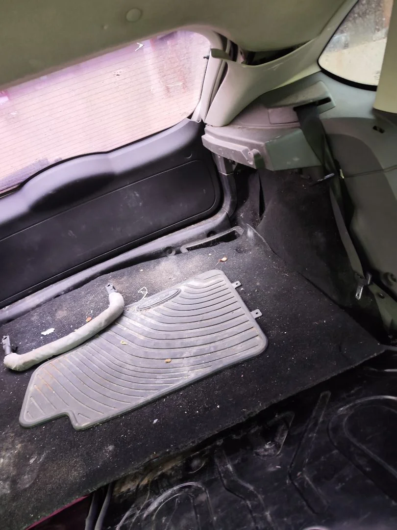 Foto de CINTURON SEGURIDAD TRASERO IZQUIERDO FORD FOCUS BERLINA (CAP) 1.6 TDCi CAT (90 CV / 66 KW)