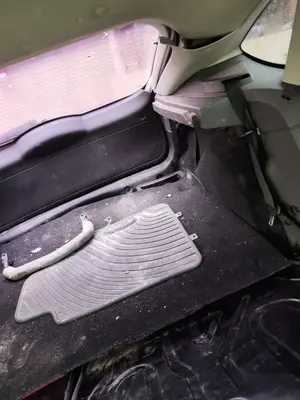 Foto de CINTURON SEGURIDAD TRASERO IZQUIERDO FORD FOCUS BERLINA (CAP) 1.6 TDCi CAT (90 CV / 66 KW)