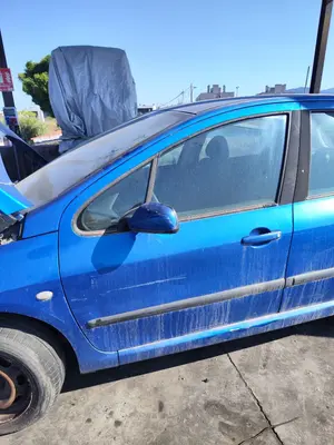 Foto de PUERTA DELANTERA IZQUIERDA PEUGEOT 307 (S1)(04.2001) 1.6 16V CAT (109 CV / 80 KW) referencia 9002S8