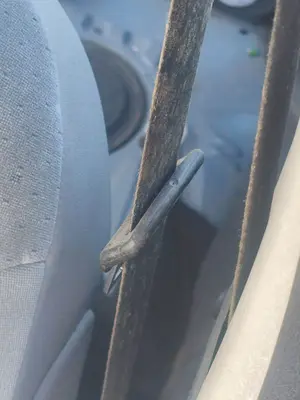 Foto de CINTURON SEGURIDAD DELANTERO IZQUIERDO CITROEN C3 1.4  (73 CV / 54 KW) referencia 8973SK