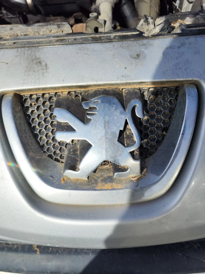 Foto de REJILLA DELANTERA PEUGEOT 207 1.4 HDi (68 CV / 50 KW) referencia 7414QA