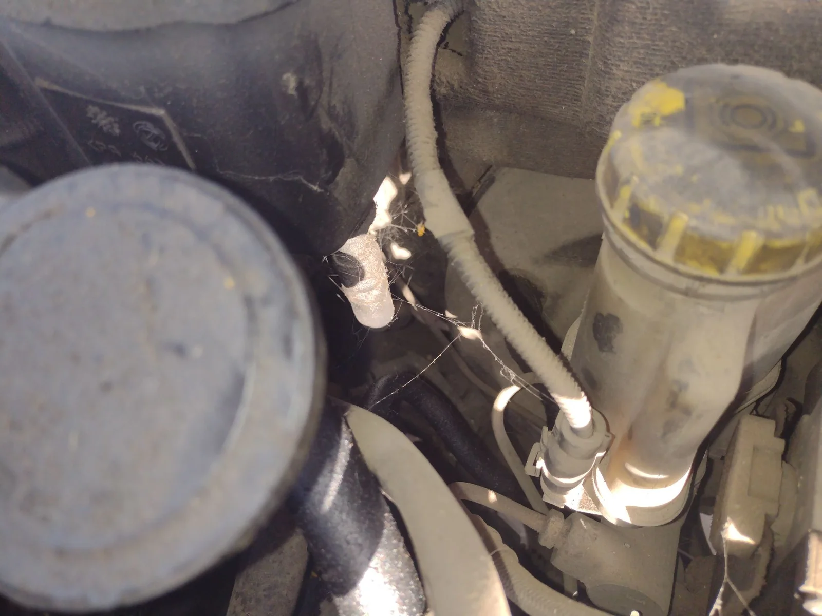 Foto de TUBO PRESION DIRECCION ASISTIDA ALFA ROMEO GT (125) 1.9 JTD (M) 16V CAT (150 CV / 110 KW)