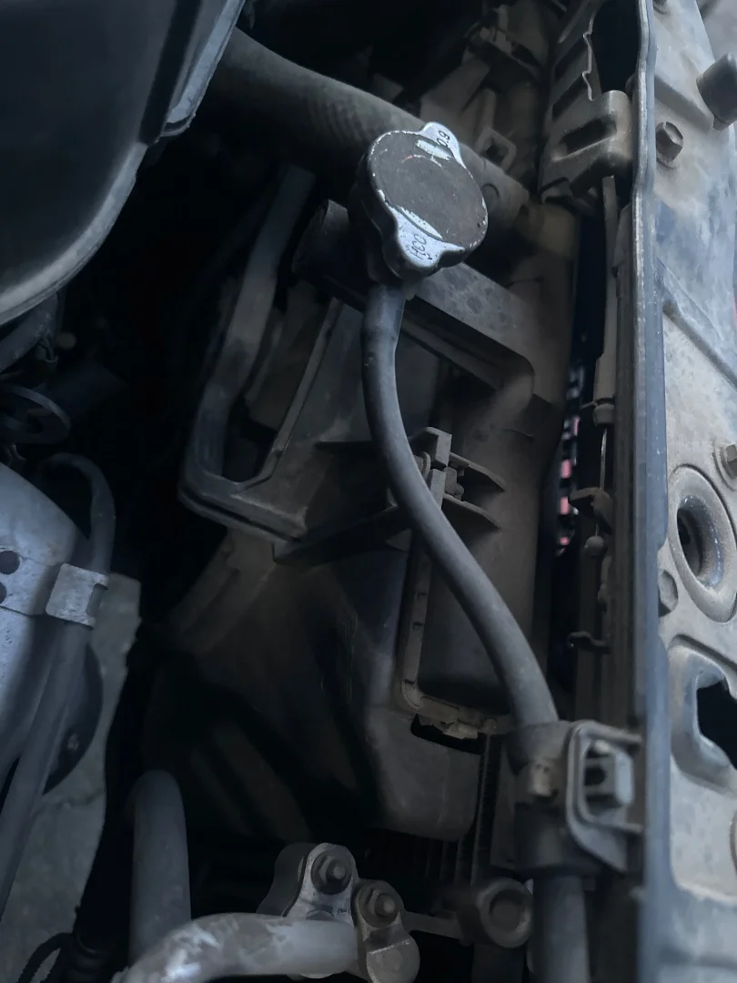 Foto de ELECTROVENTILADOR KIA PICANTO (SA) 1.1 CAT (65 CV / 48 KW) referencia 2538007000