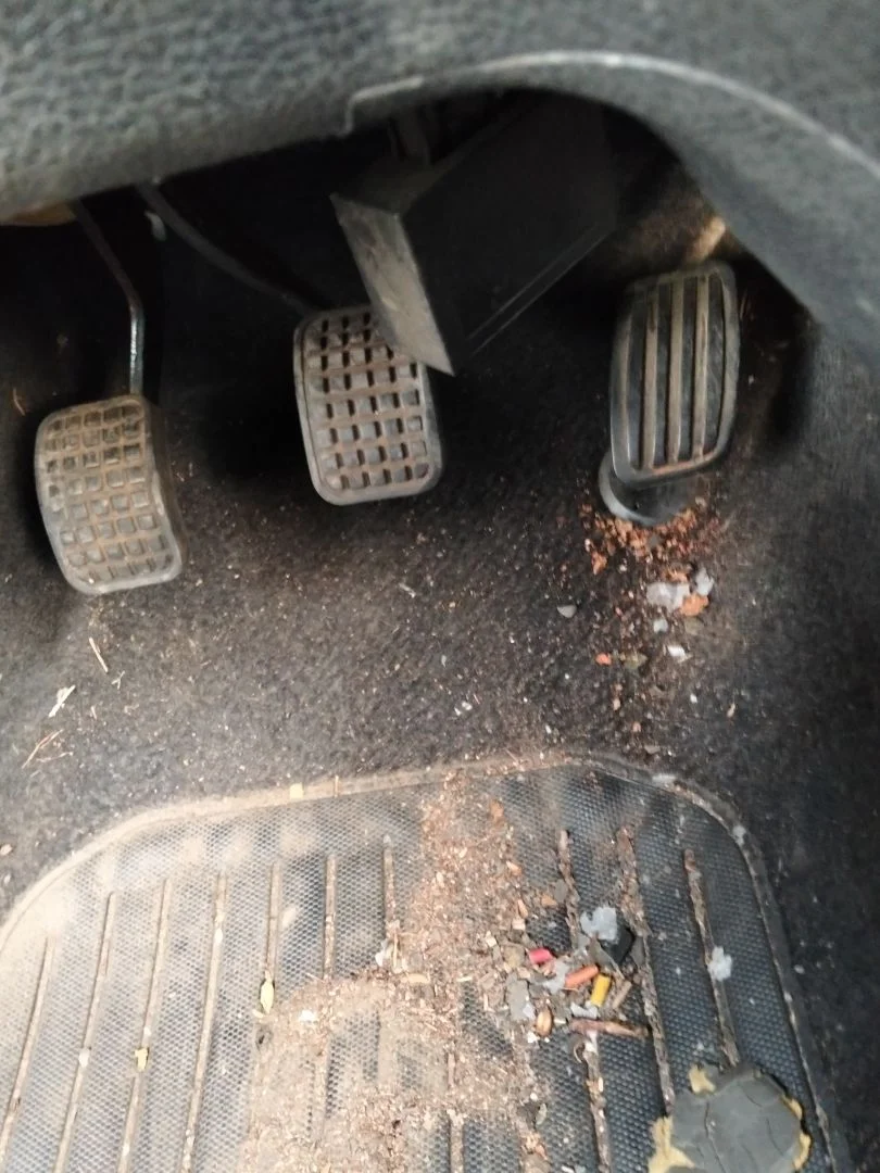 Foto de PEDAL EMBRAGUE PEUGEOT 106 (S2) 1.1 (60 CV / 44 KW)