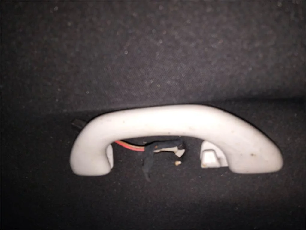 Foto de ASIDERO TECHO TRASERO IZQUIERDO SEAT ALHAMBRA (7V9)
