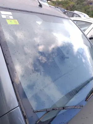 Foto de PARABRISAS SUZUKI ALTO (AMF310) 1.0 12V CAT (68 CV / 50 KW)