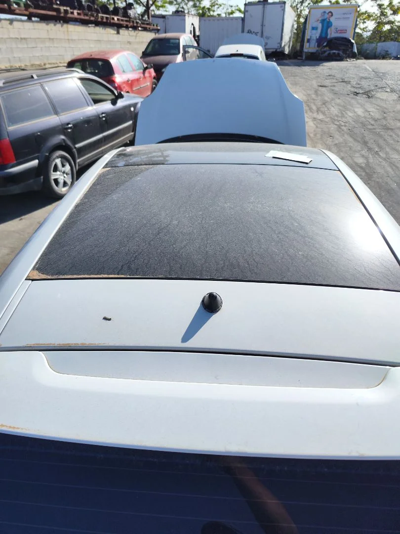 Foto de TECHO FIAT GRANDE PUNTO (199) 1.4 (95 CV / 70 KW) referencia 0051738906