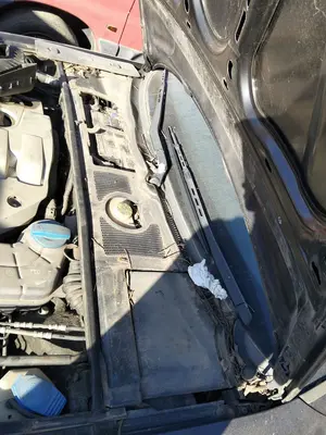 Foto de TORPEDO AUDI A4 BERLINA (8E) 1.9 TDI (131 CV / 96 KW)
