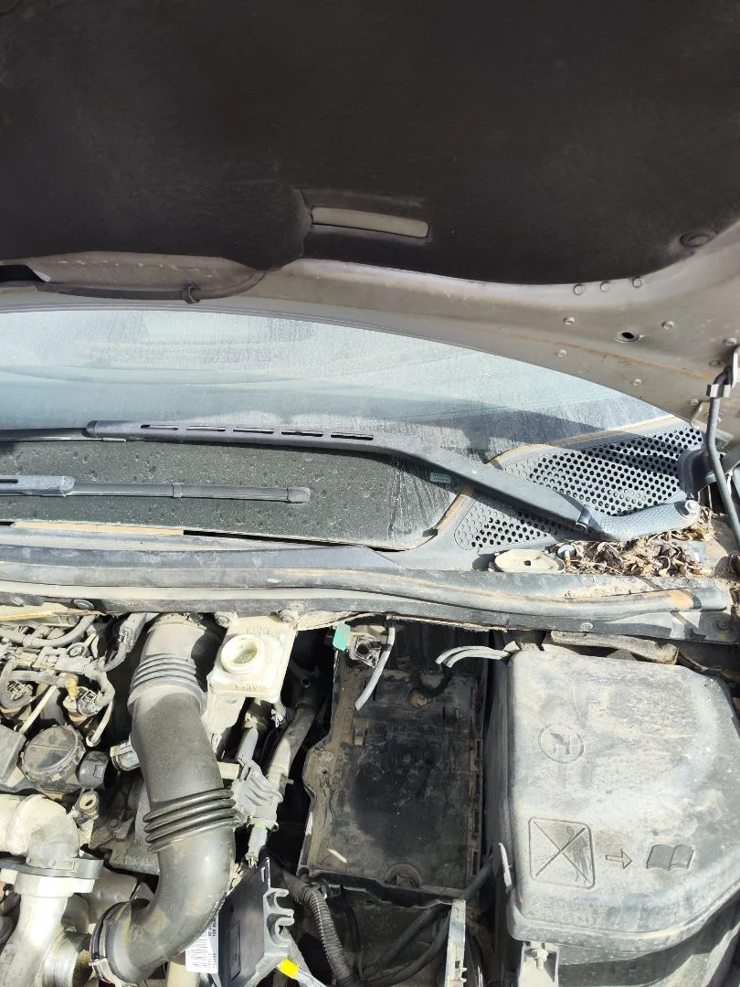 Foto de BRAZO LIMPIA DELANTERO IZQUIERDO CITROEN C4 BERLINA 1.6 16V HDi (90 CV / 66 KW)