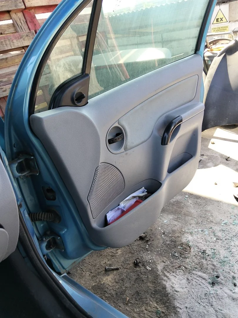 Foto de GUARNECIDO PUERTA DELANTERA DERECHA CITROEN C3 1.4 HDi (68 CV / 50 KW) referencia 9331LN