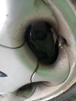 Foto de PINZA DE FRENO DELANTERA DERECHA FORD KA (CCQ) 1.3 CAT (50 CV / 37 KW) referencia 1478471