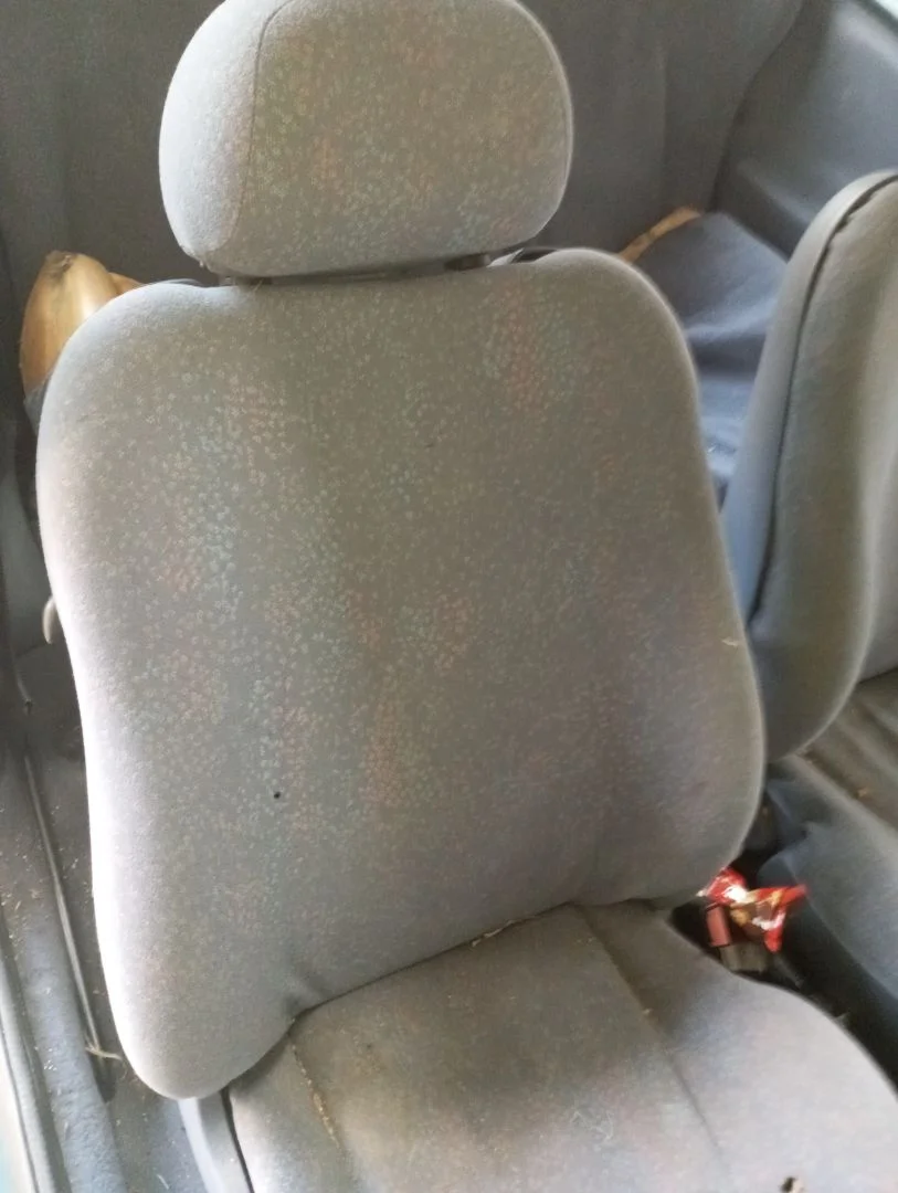 Foto de ASIENTO DELANTERO DERECHO FORD KA (CCQ) 1.3 CAT (50 CV / 37 KW)