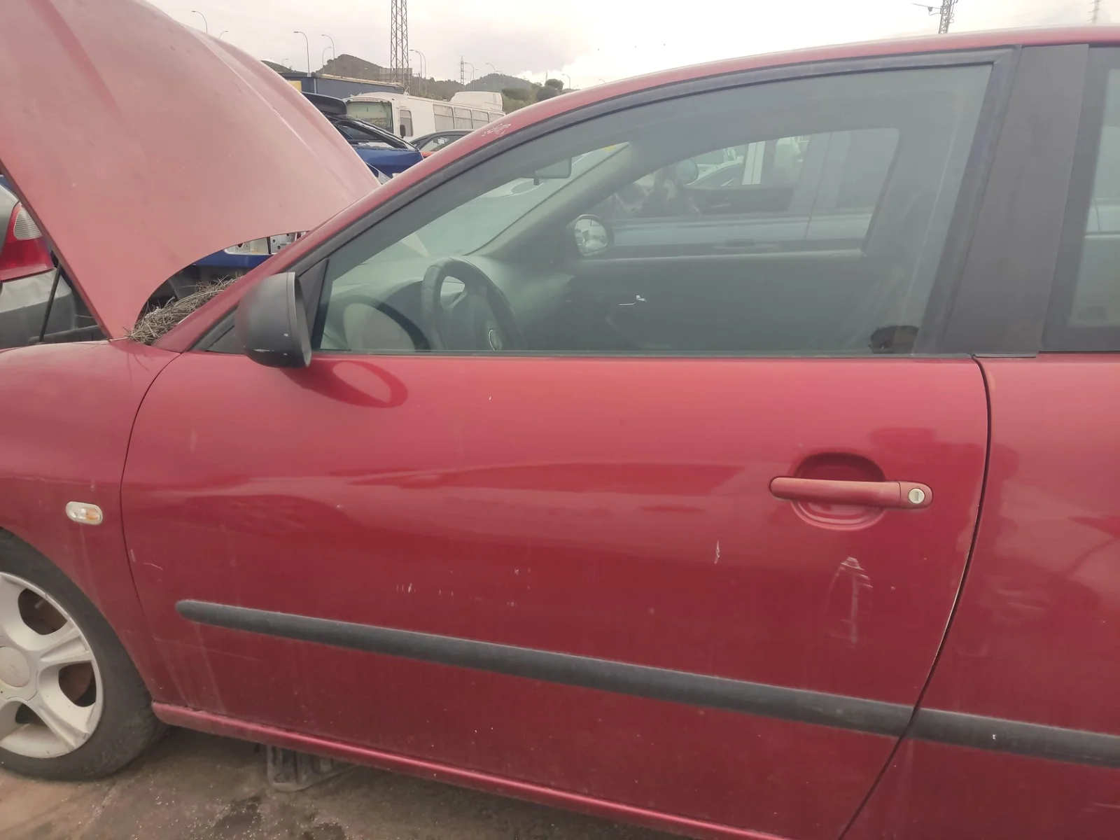 Foto de PUERTA DELANTERA IZQUIERDA SEAT IBIZA (6L1) 1.9 TDI (101 CV / 74 KW) referencia 6L3831055R