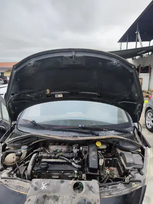 Foto de CAPO PEUGEOT 207 SW 1.4 16V VTi (95 CV / 70 KW) referencia 7901N2 foto 4