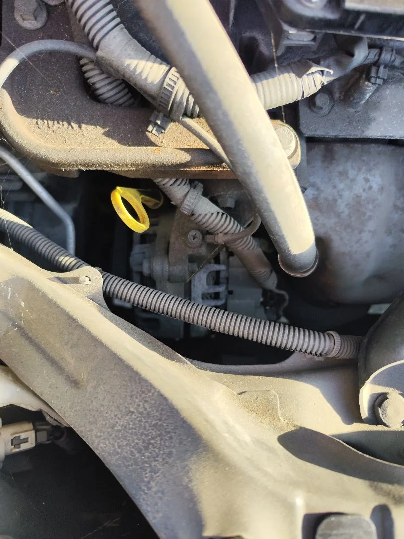 Foto de ALTERNADOR NISSAN NOTE (E11E) 1.4 CAT (88 CV / 65 KW)