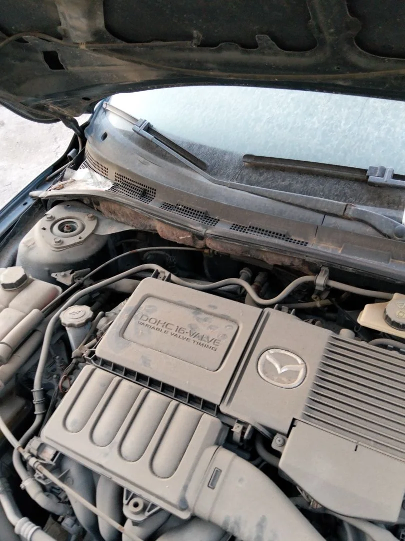 Foto de BRAZO LIMPIA TRASERO MAZDA 3 BERLINA (BK) 1.6 16V CAT (105 CV / 77 KW) referencia BP4K-67-421