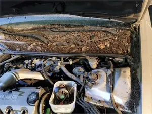 Foto de MOTOR LIMPIA DELANTERO HONDA ACCORD BERLINA (CG7-9/CH1-7)