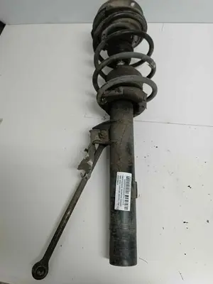 Foto de AMORTIGUADOR DELANTERO DERECHO BMW SERIE 1 BERLINA (E81/E87) 2.0 Turbodiesel CAT (143 CV / 105 KW) referencia 31316786018