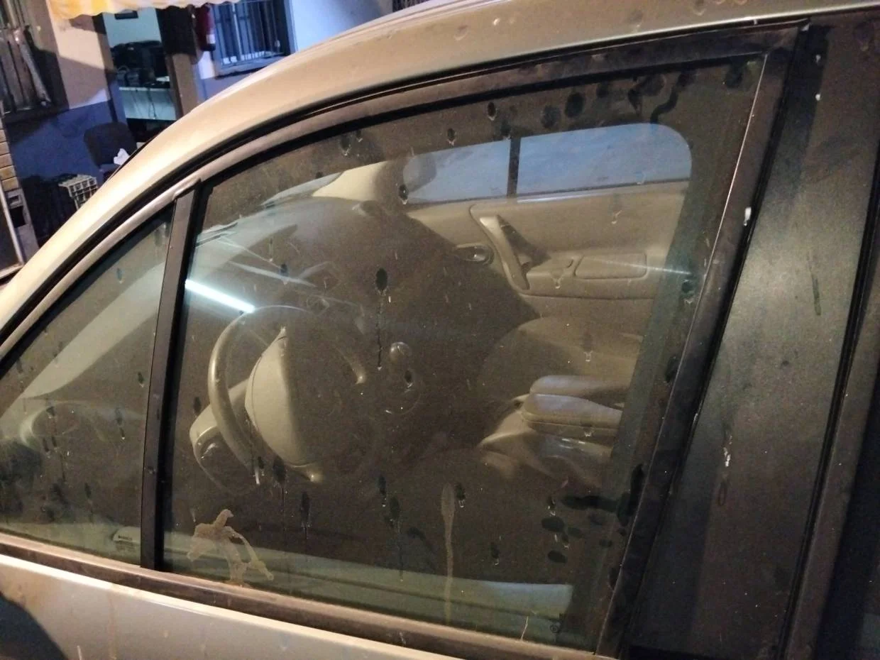 Foto de LUNA DELANTERA IZQUIERDA RENAULT SCENIC II (JM)
