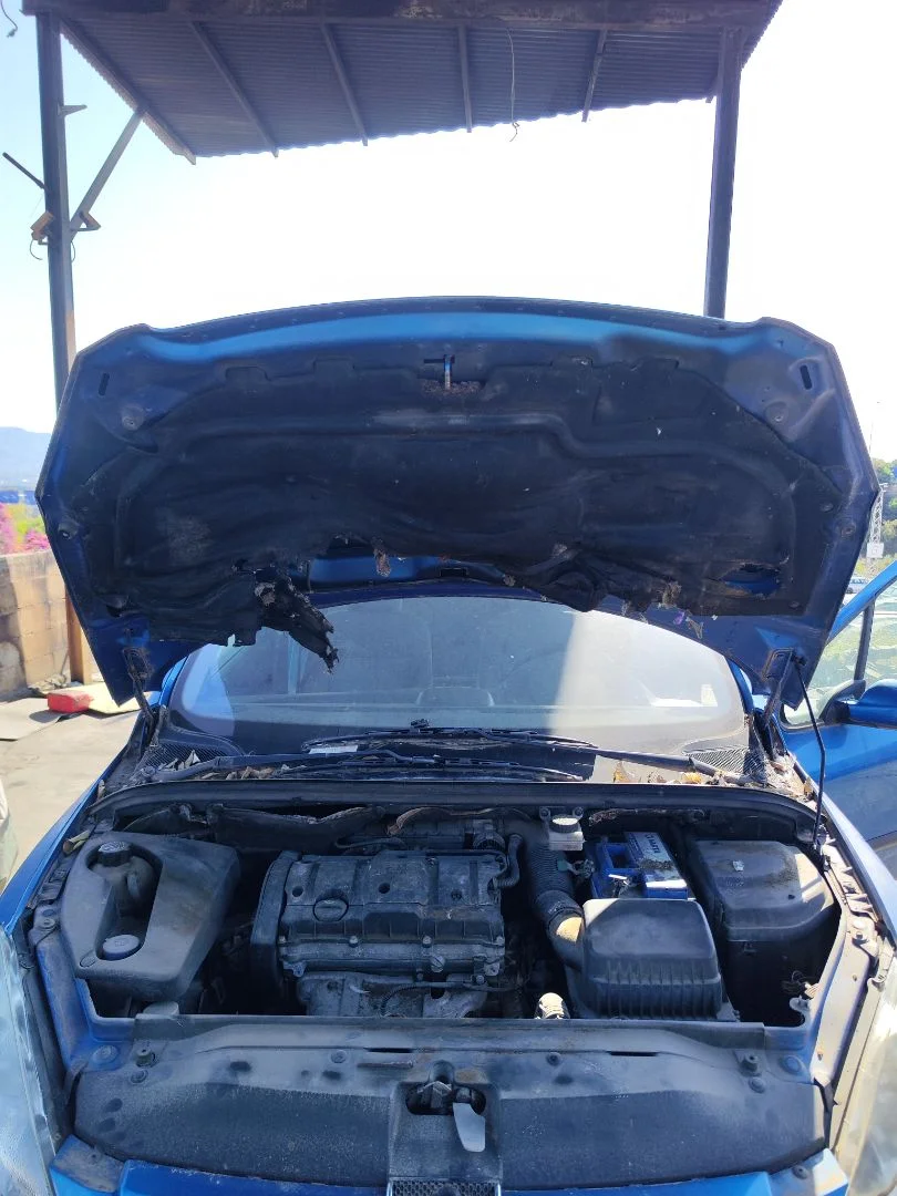 Foto de CAPO PEUGEOT 307 (S1)(04.2001) 1.6 16V CAT (109 CV / 80 KW) referencia 7901J0