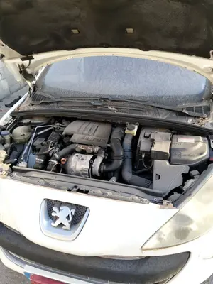 Foto de TORPEDO PEUGEOT 308 SW 1.6 HDi FAP CAT (9HZ / DV6TED4) (109 CV / 80 KW)