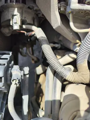 Foto de TUBOS AIRE ACONDICIONADO NISSAN PRIMERA BERLINA (P12) 1.9 16V Turbodiesel CAT (120 CV / 88 KW)