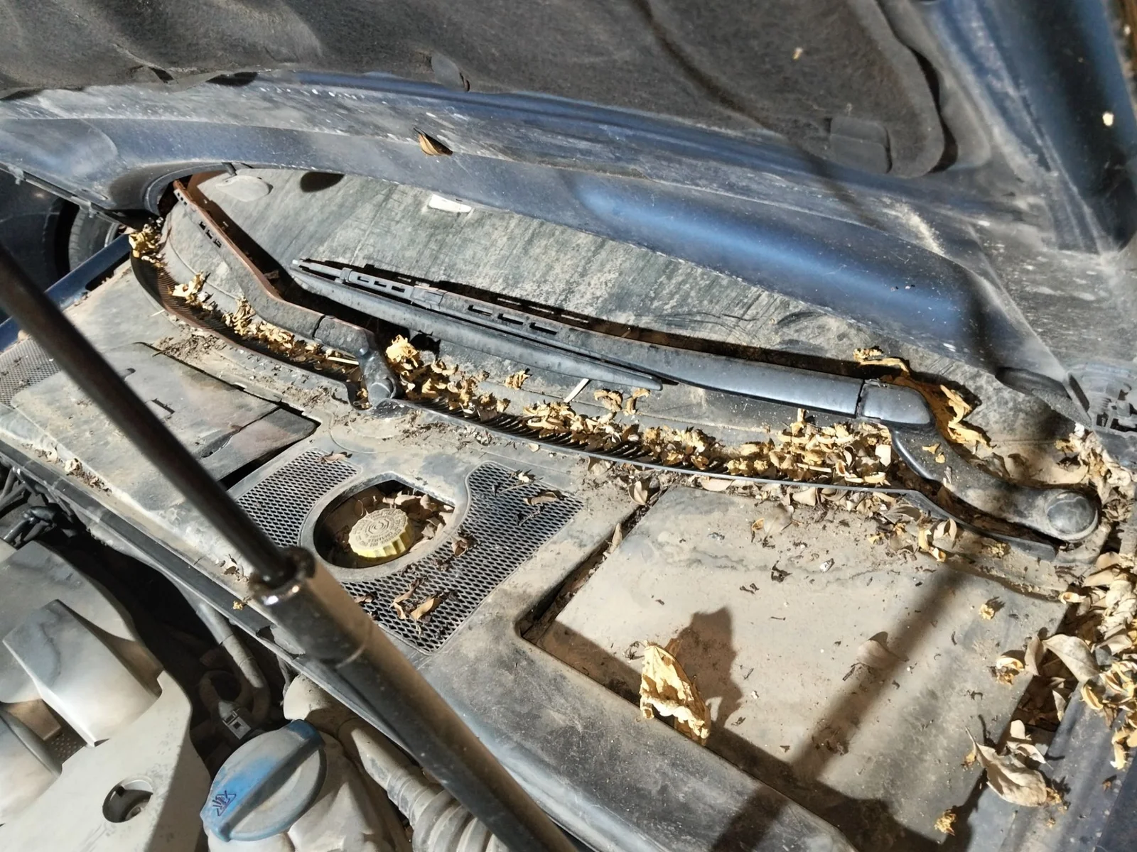 Foto de BRAZO LIMPIA DELANTERO IZQUIERDO AUDI A4 BERLINA (8E)