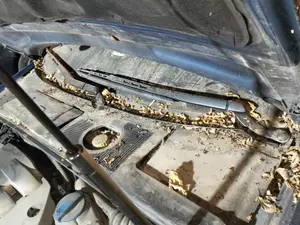 Foto de BRAZO LIMPIA DELANTERO IZQUIERDO AUDI A4 BERLINA (8E)