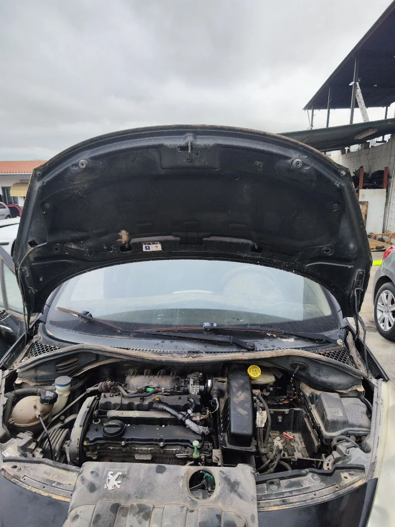 Foto de CAPO PEUGEOT 207 1.4 16V CAT (KFU / ET3J4) (88 CV / 65 KW) referencia 7901N2
