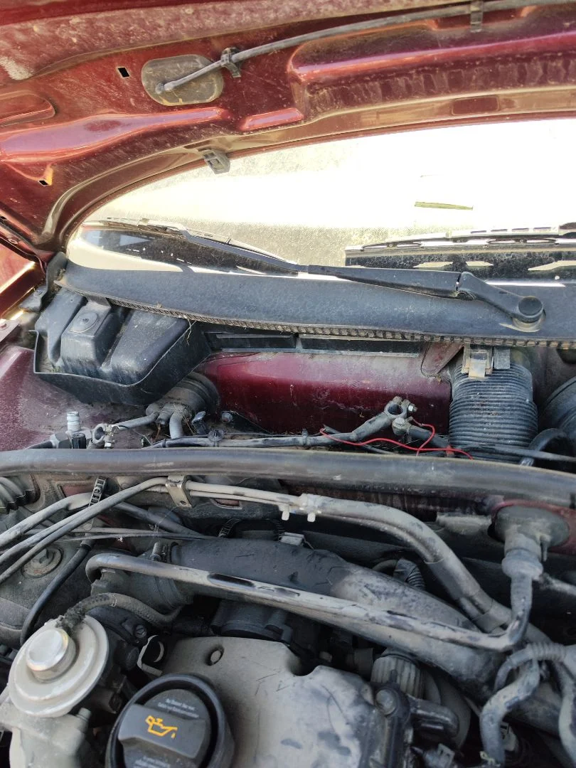 Foto de BRAZO LIMPIA DELANTERO DERECHO VOLKSWAGEN PASSAT BERLINA (3B2) 1.9 TDI (116 CV / 85 KW) referencia 3B1955410
