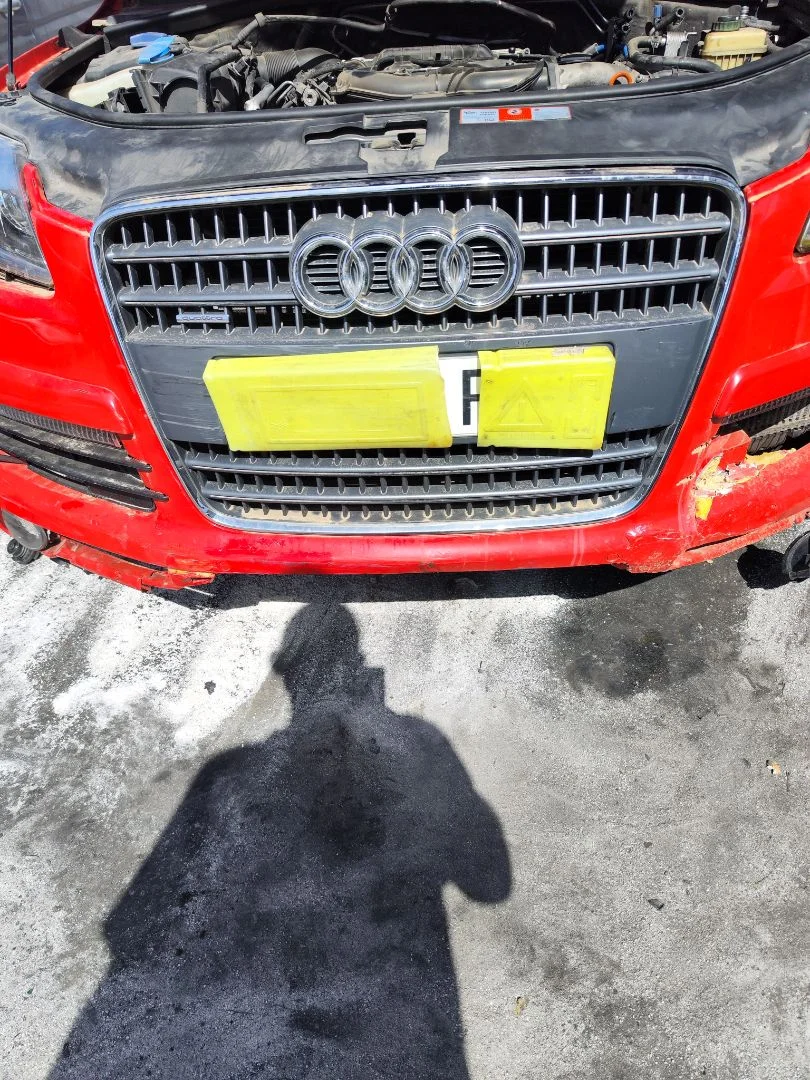 Foto de REJILLA DELANTERA AUDI Q7 (4L) 3.0 V6 24V TDI (233 CV / 171 KW)