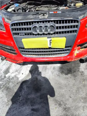 Foto de REJILLA DELANTERA AUDI Q7 (4L) 3.0 V6 24V TDI (233 CV / 171 KW)