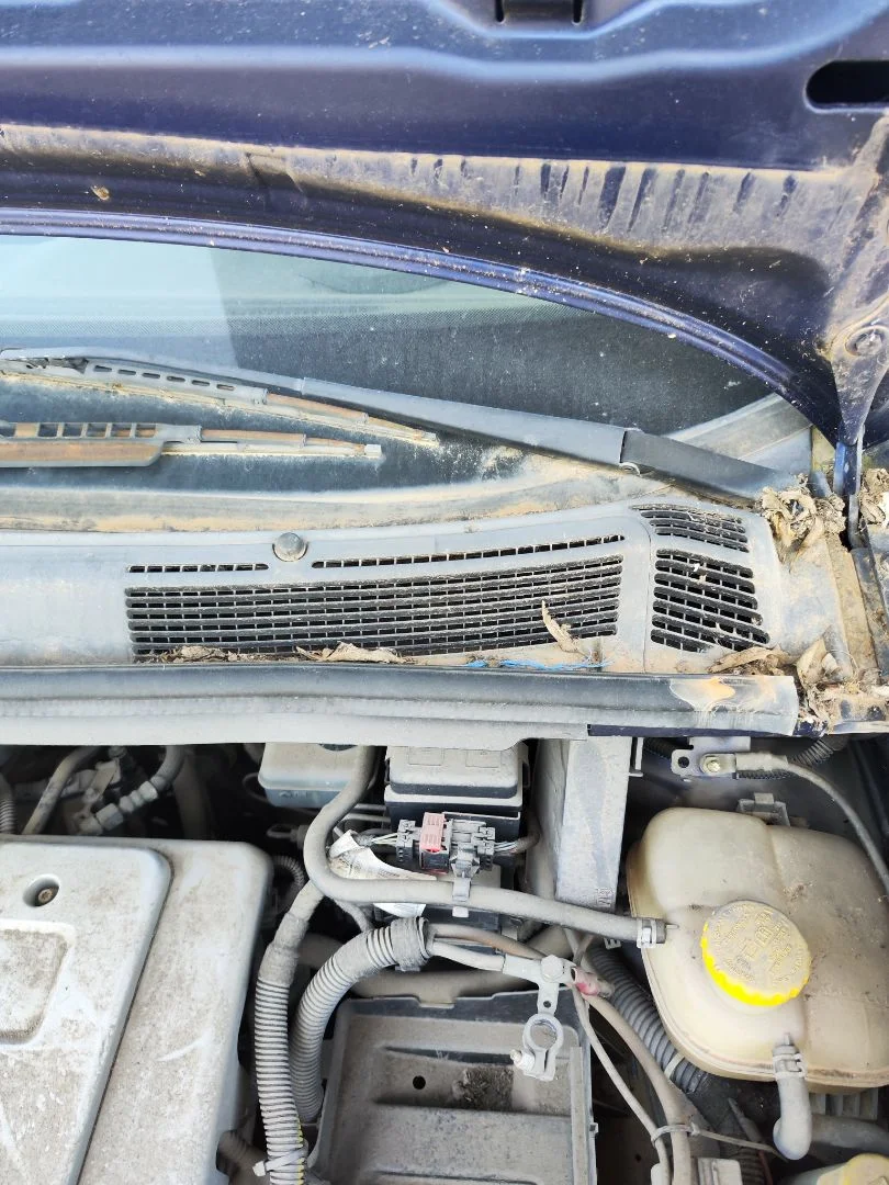 Foto de MOTOR LIMPIA DELANTERO OPEL ZAFIRA A 1.6 16V (101 CV / 74 KW)