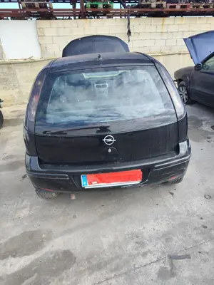 Foto de PORTON TRASERO OPEL CORSA C 1.2 16V CAT (Z 12 XEP / LB4) (80 CV / 59 KW)