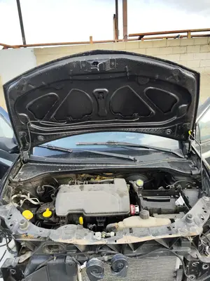 Foto de CAPO RENAULT CLIO III 1.2 16V (75 CV / 55 KW) foto 2