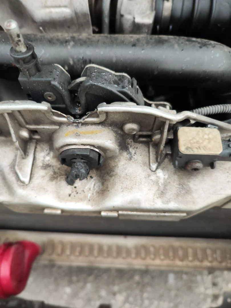 Foto de CERRADURA CAPO FORD FOCUS BERLINA (CAP) 1.6 TDCi CAT (90 CV / 66 KW)