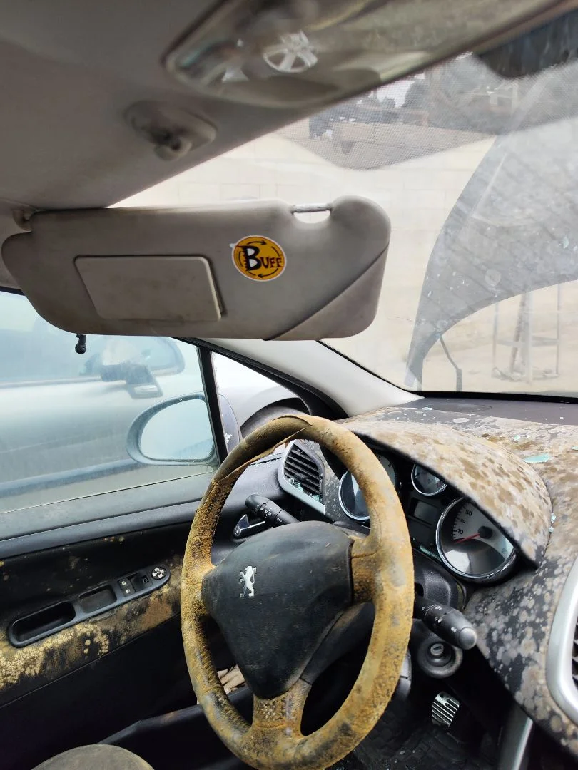Foto de PARASOL IZQUIERDO PEUGEOT 207 1.4 16V CAT (KFU / ET3J4) (88 CV / 65 KW)