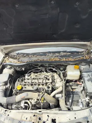 Foto de TORPEDO OPEL ASTRA H BERLINA 1.7 16V CDTI (110 CV / 81 KW)