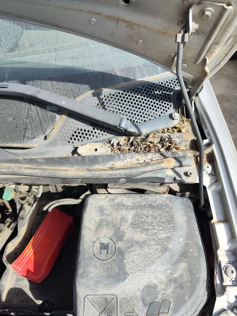 Foto de MOTOR LIMPIA DELANTERO CITROEN C4 BERLINA 1.6 16V HDi (90 CV / 66 KW)