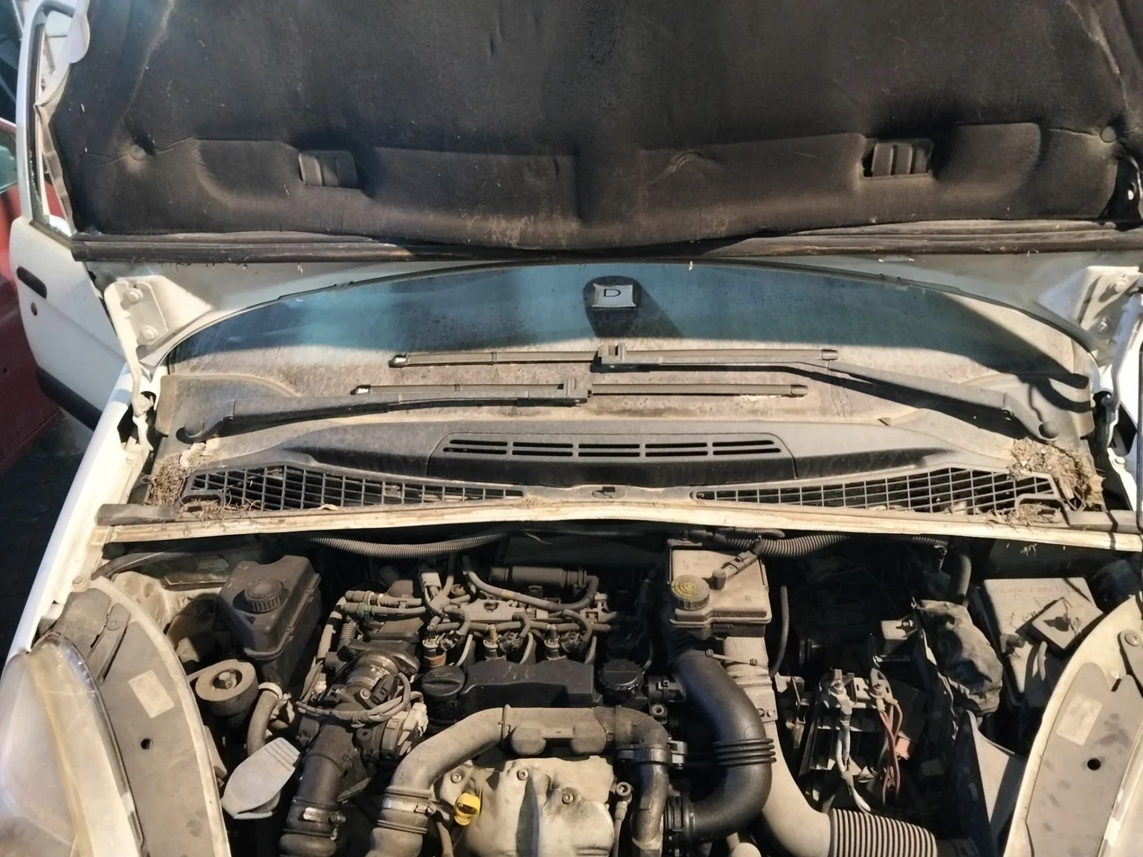 Foto de MOTOR LIMPIA DELANTERO CITROEN XSARA PICASSO