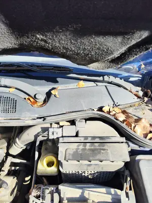 Foto de BRAZO LIMPIA DELANTERO IZQUIERDO RENAULT MEGANE II BERLINA 5P 1.5 dCi Diesel (101 CV / 74 KW)