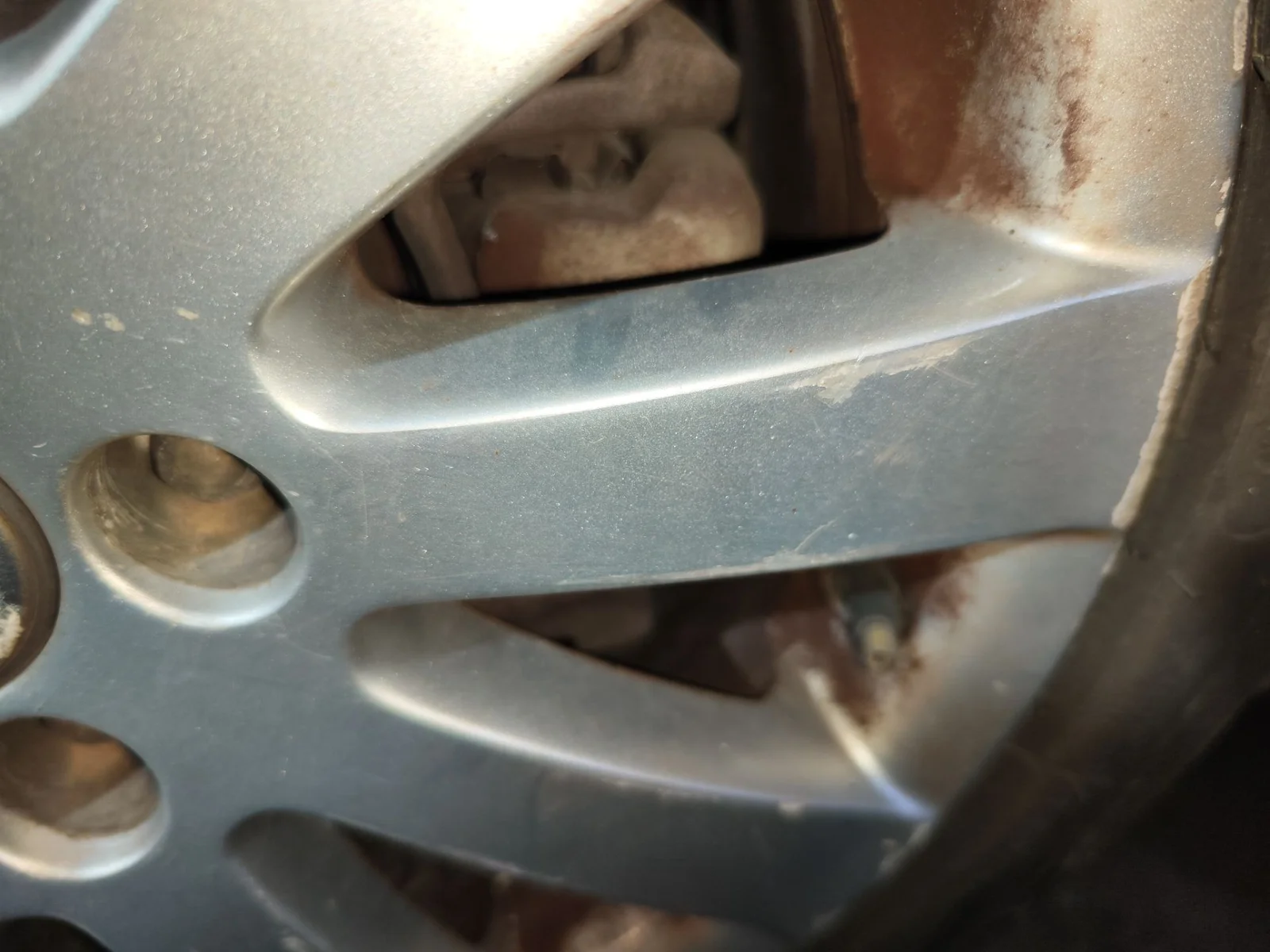 Foto de PINZA DE FRENO TRASERA DERECHA VOLKSWAGEN PASSAT VARIANT (3C5) 2.0 TDI (140 CV / 103 KW) referencia 3C0615404G