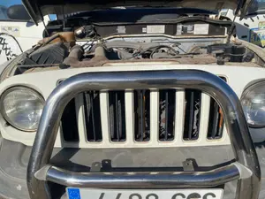 Foto de REJILLA DELANTERA SSANGYONG KORANDO 2.9 Turbodiesel CAT (120 CV / 88 KW)