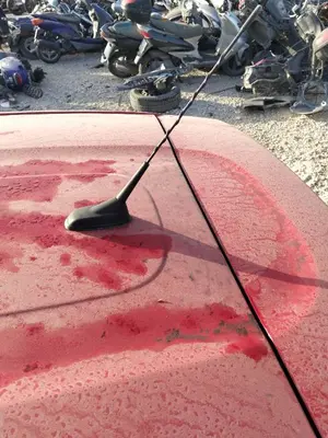 Foto de ANTENA CITROEN C3