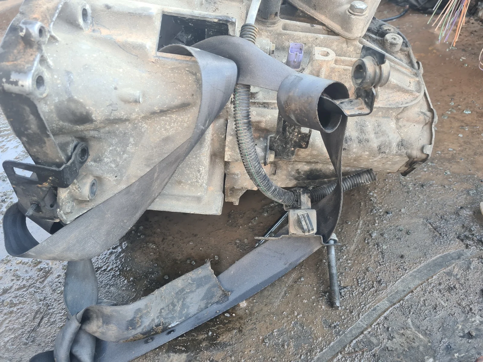 Foto de CAJA CAMBIOS FIAT ULYSSE (179) referencia 9431366021