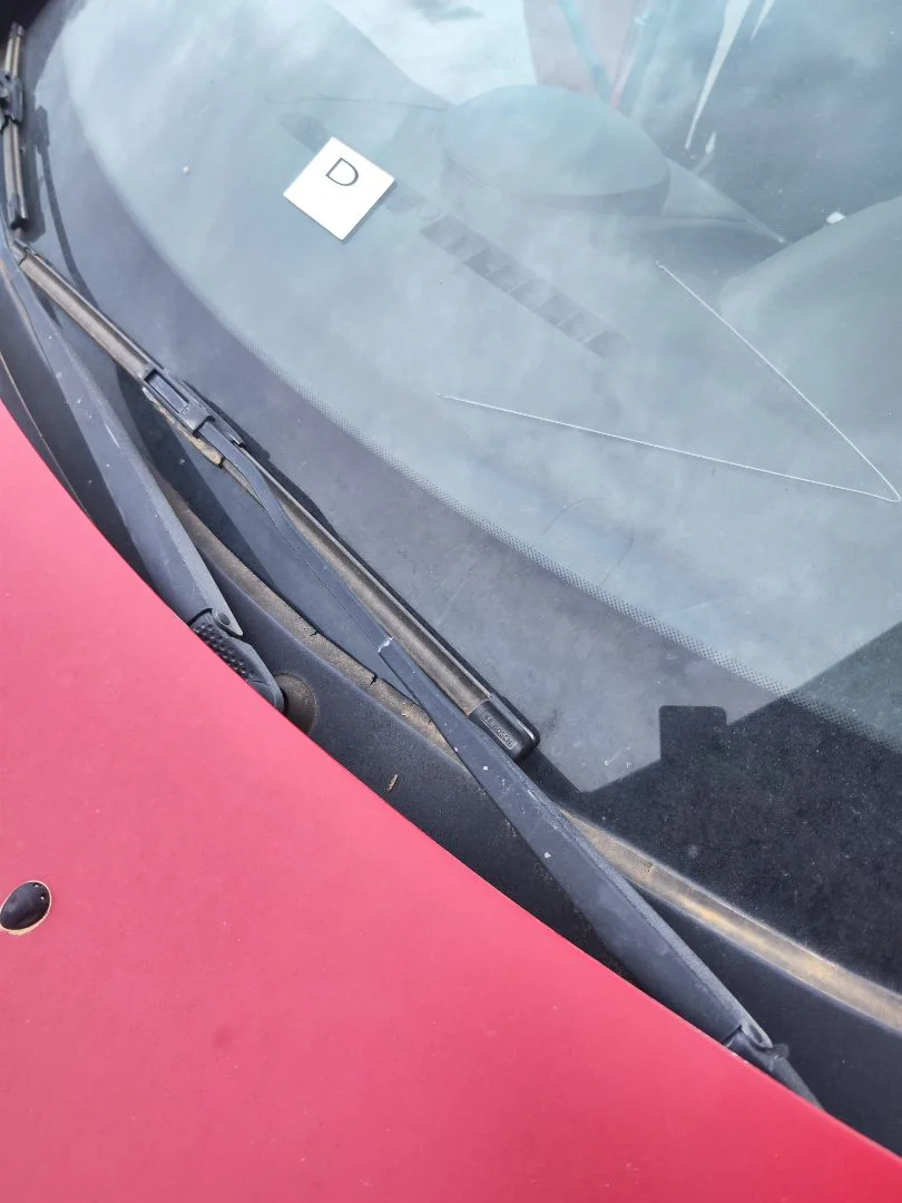 Foto de BRAZO LIMPIA DELANTERO IZQUIERDO RENAULT CLIO III 1.5 dCi Diesel CAT (86 CV / 63 KW)