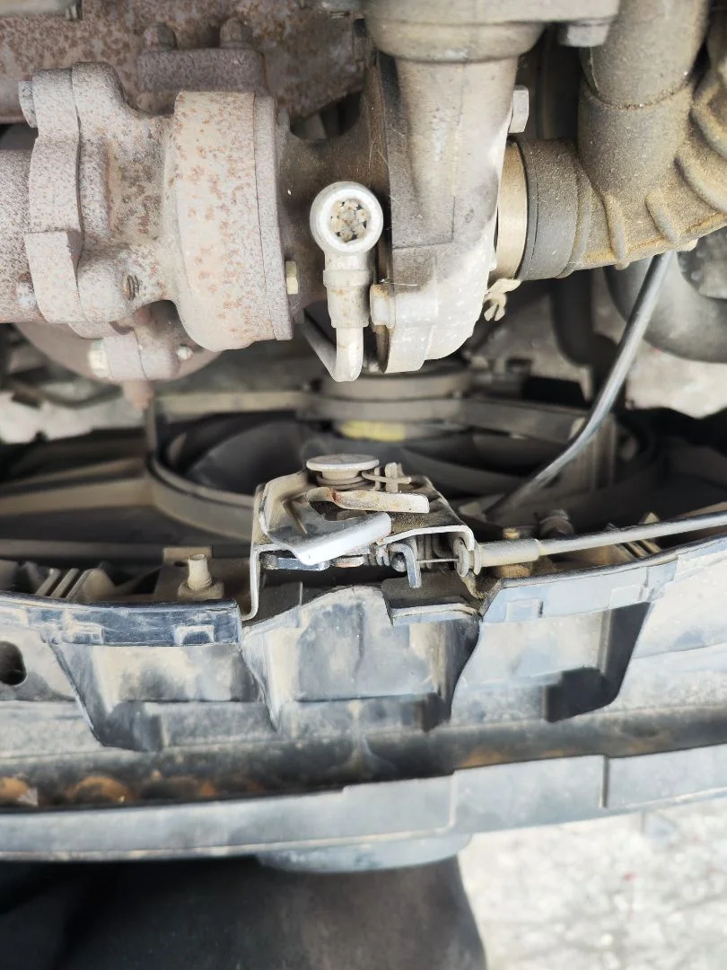 Foto de CERRADURA CAPO FORD FIESTA (CBK) 1.4 TDCi CAT (68 CV / 50 KW) referencia 1478992